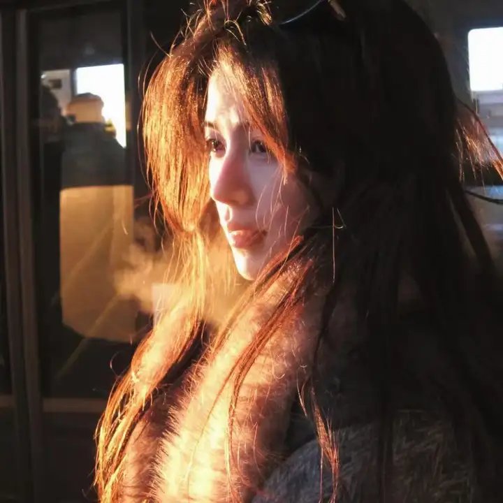 安妮·雪莉
