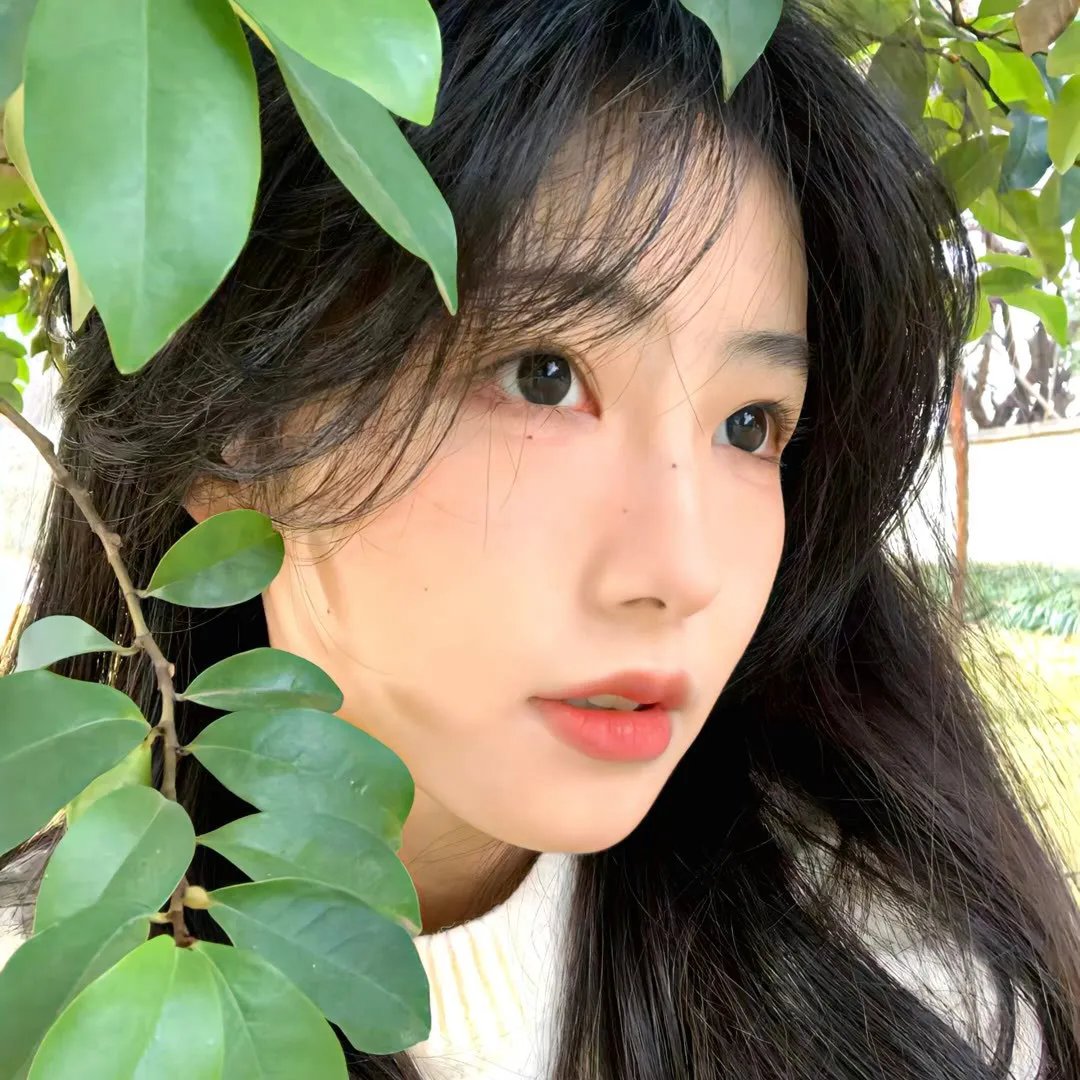 伟大的神秘马戏团